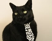 中国马术少年赴欧集训,备战青奥赛场,2021中国马术青少年u系列赛