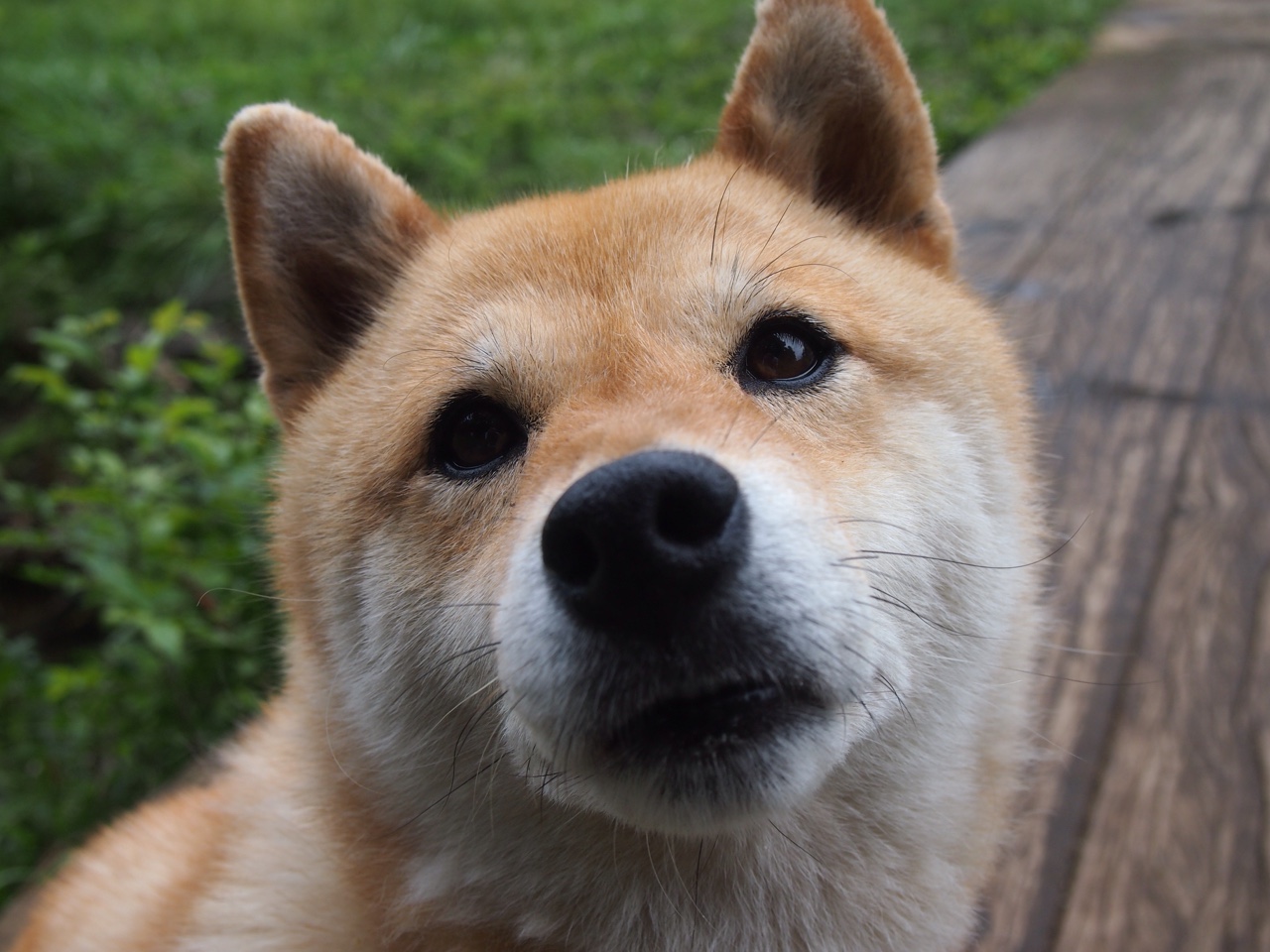 乌拉圭男足在巴黎奥运会比赛中表现出色,赢得奖项,乌拉圭男足排名