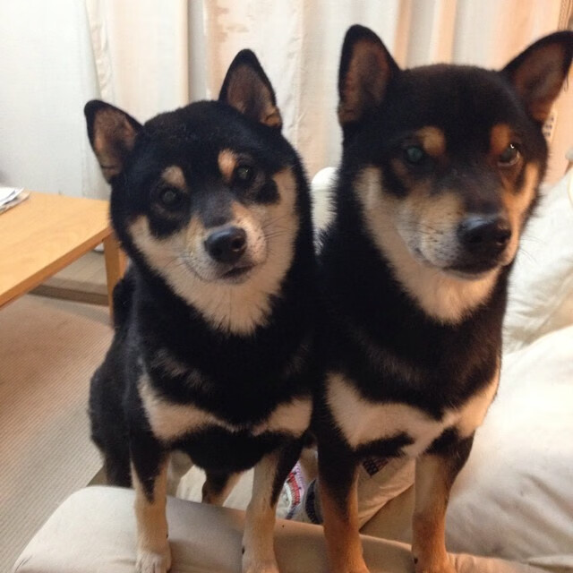 传统硬件巨头纷纷布局电竞，推动行业创新发展，传统电竞服务有哪些