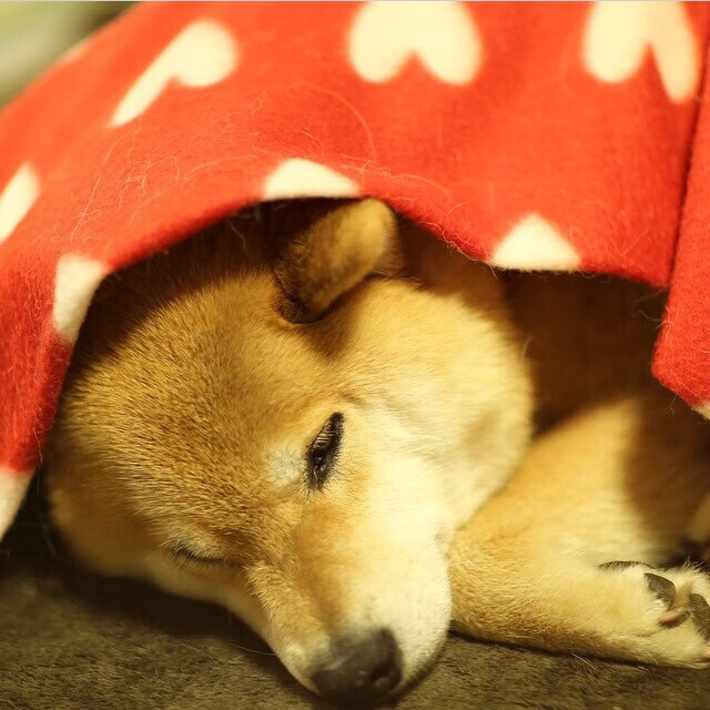 史上最经典的欧冠决赛回忆录，经典欧冠决赛录像