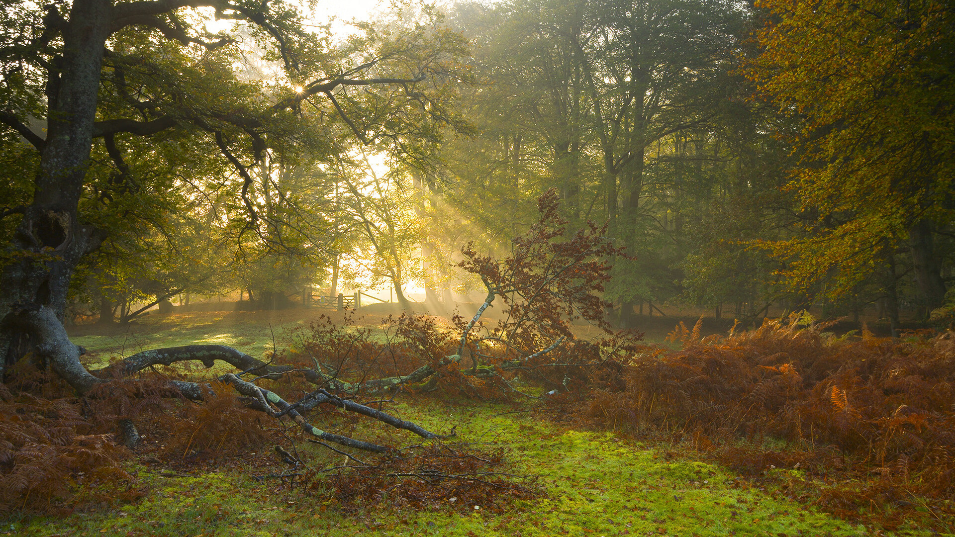 巨型水上剧场漂浮表演，视觉与运动的双重享受，水上浮尸